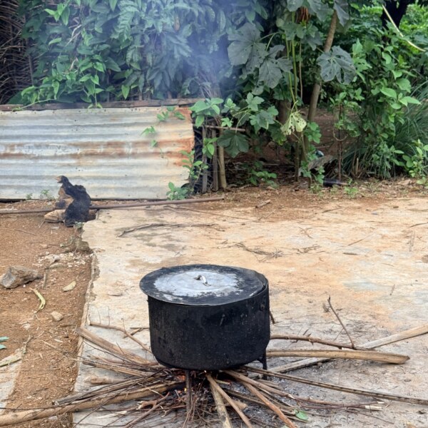 Cook Day